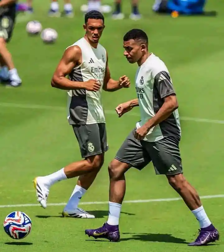 ريال مدريد وبوروسيا دورتموند في كأس العالم للأندية 2025