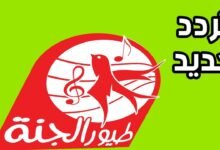 تردد قناة طيور الجنة 2025 الجديد على نايل سات بجودة عالية